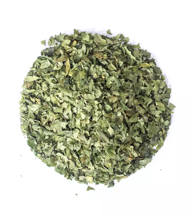 Czosnek niedźwiedzi